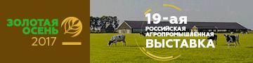 Выставка Золотая осень 2017